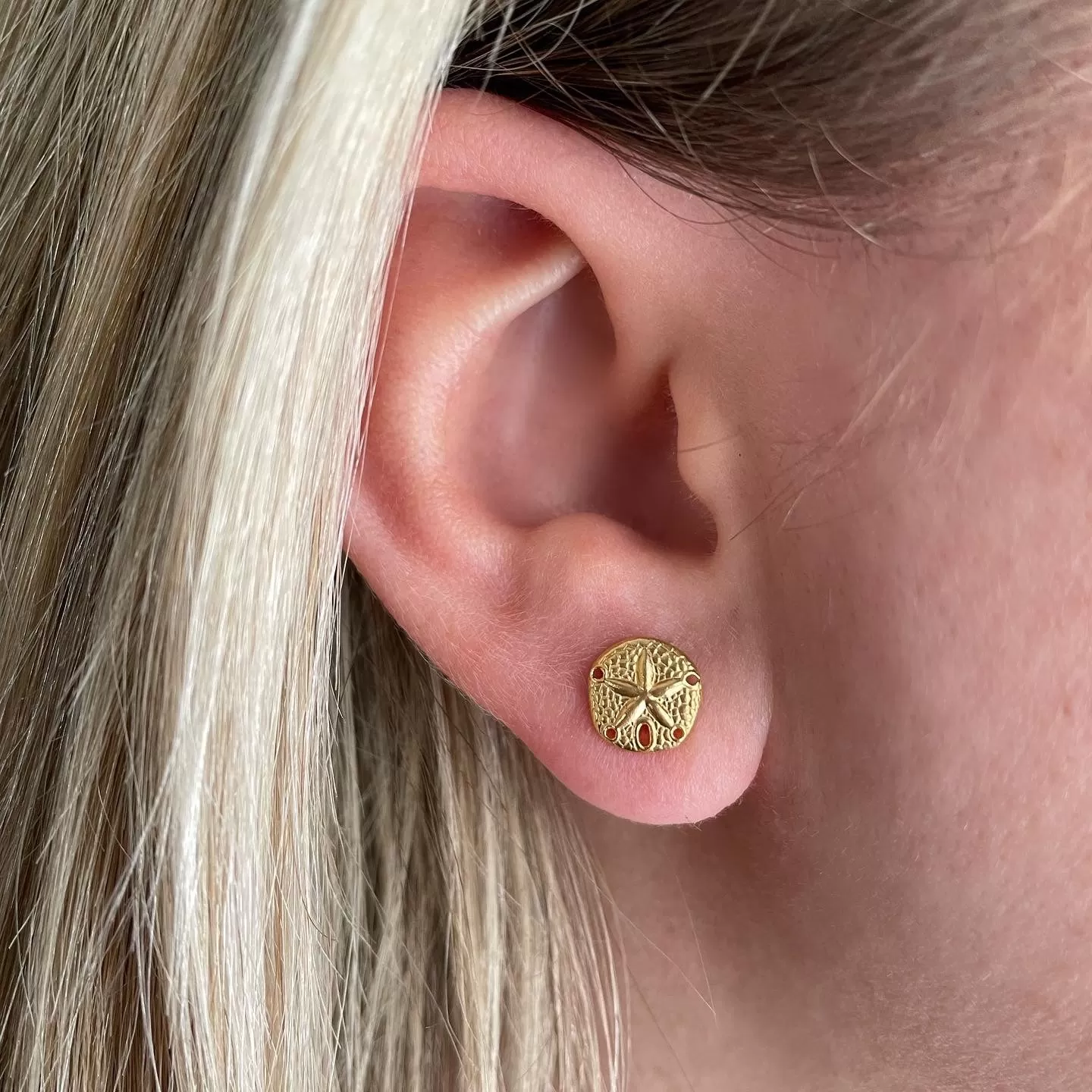 Sand Dollar Earrings