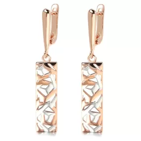 Silver and Rose Gold Geometric Hollow Earrings